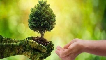 Esperança na Criação de Deus: A Importância do Cuidado Ambiental