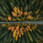 Seu Site Gospel Entendendo a Raiva em Alguns Cristãos: Uma Reflexão Teológica