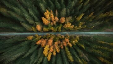 Seu Site Gospel Entendendo a Raiva em Alguns Cristãos: Uma Reflexão Teológica